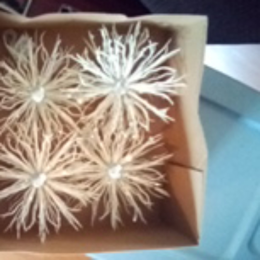 "SOLD"Set Of Four Snowflake Ornaments and Mats